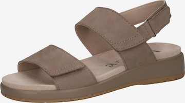 CAPRICE Sandale in Grau: Vorderseite