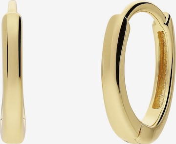 Boucles d'oreilles Lucardi en or : devant