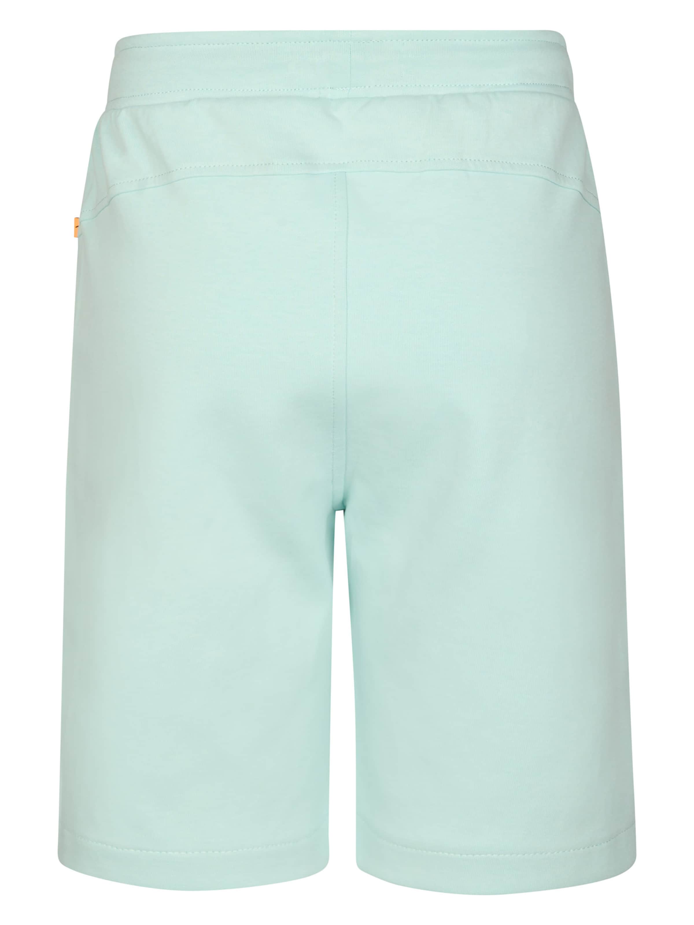 Petrol Industries Regular Trousers 'Norte' in Green
