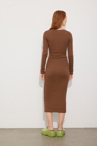 Envii Dress 'Ally' in Brown