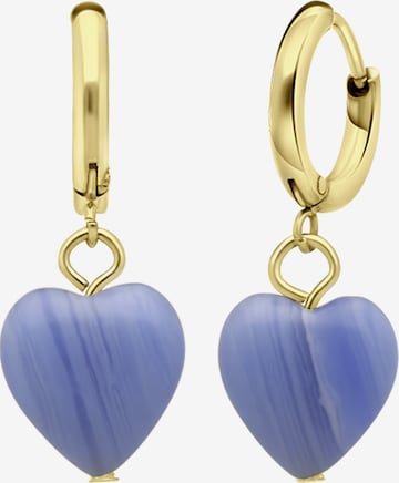 Boucles d'oreilles Lucardi en or : devant