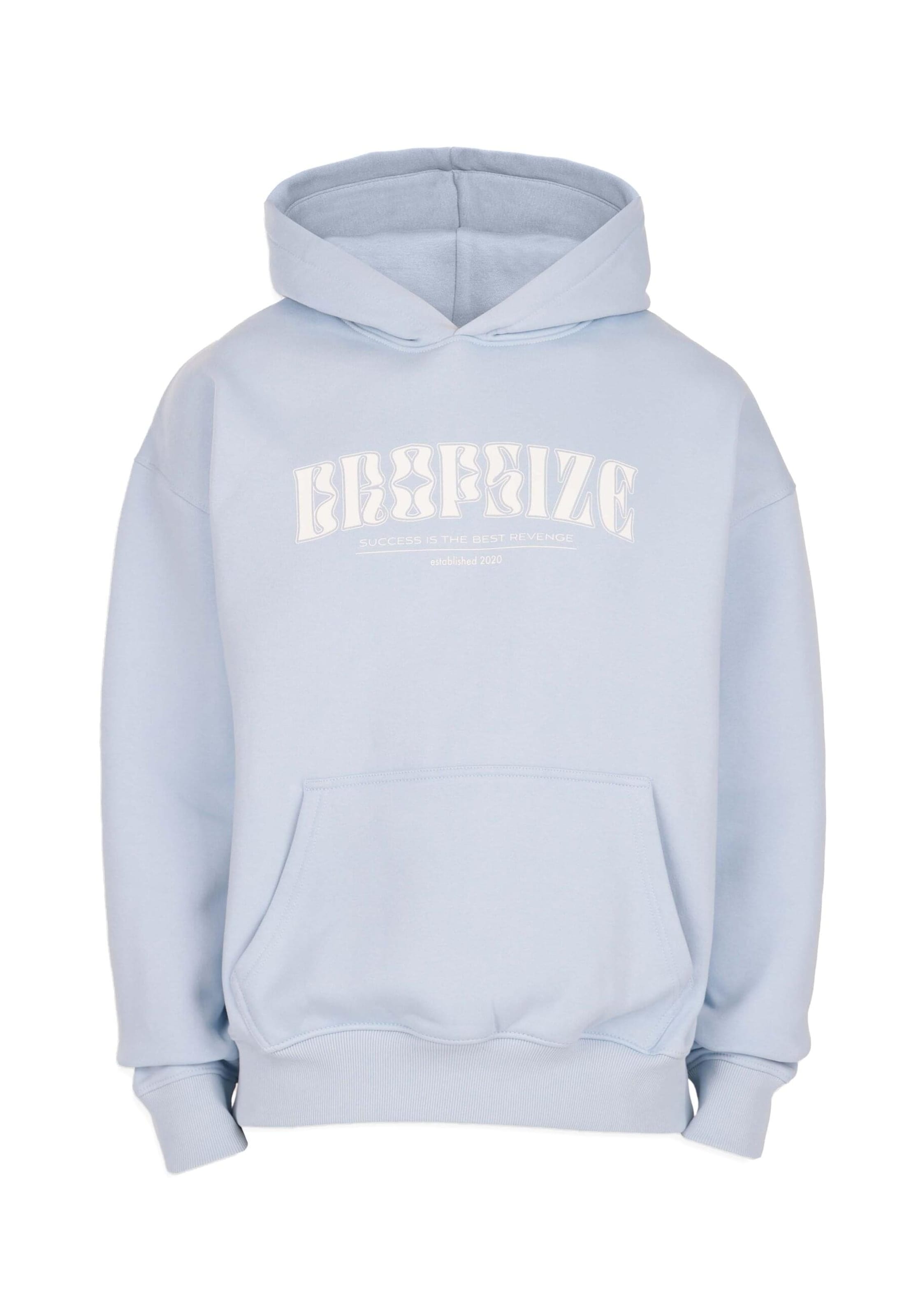 Dropsize Sweatshirt 'Success' in Blue: front