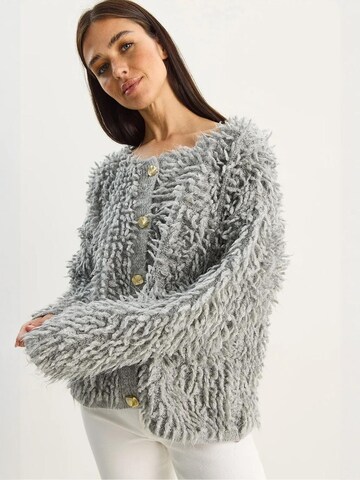 Bianco Lucci Gebreid vest in Grijs