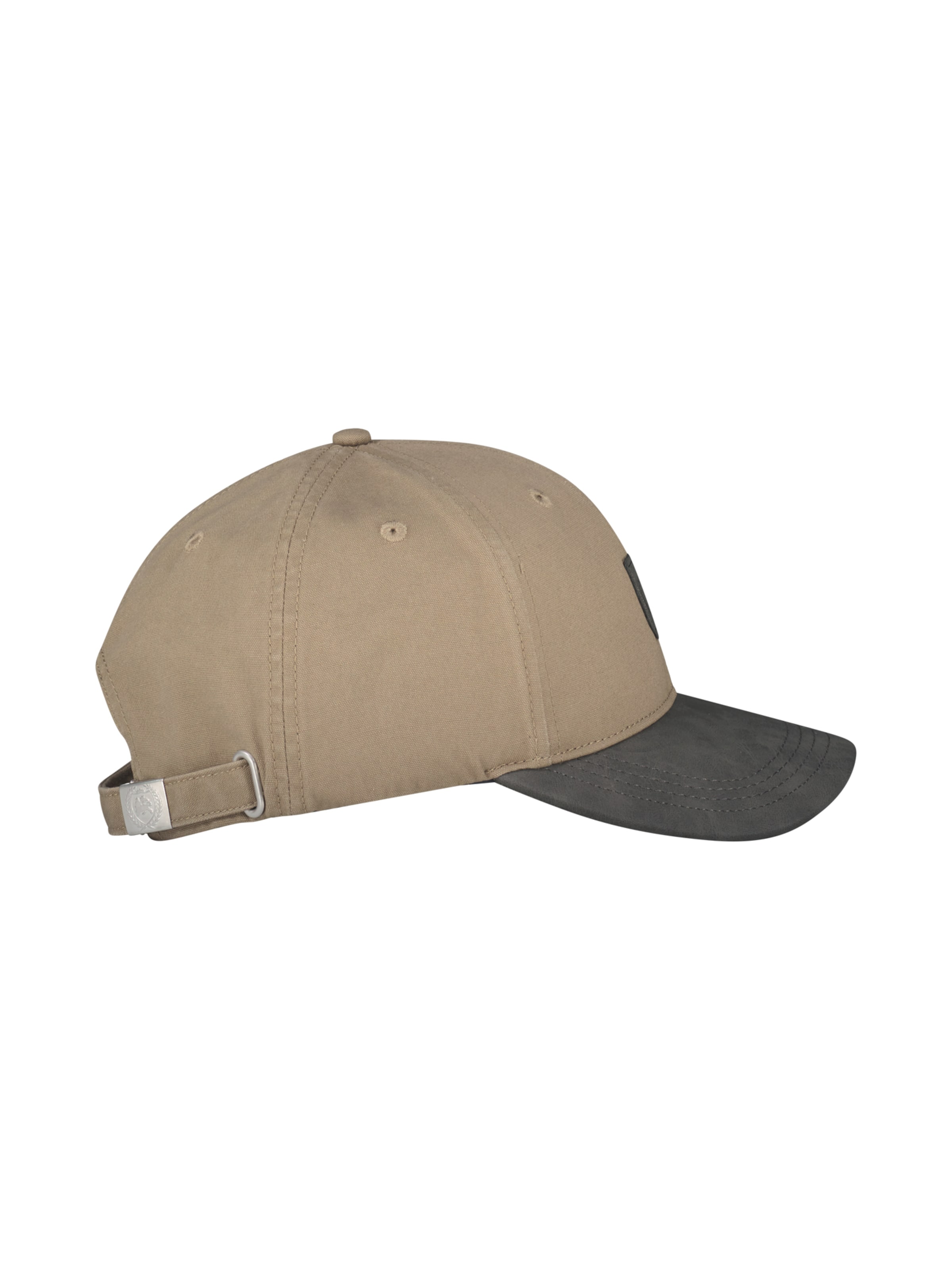 LERROS Pet in Beige