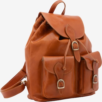 Viola Castellani Backpack in Brown: front