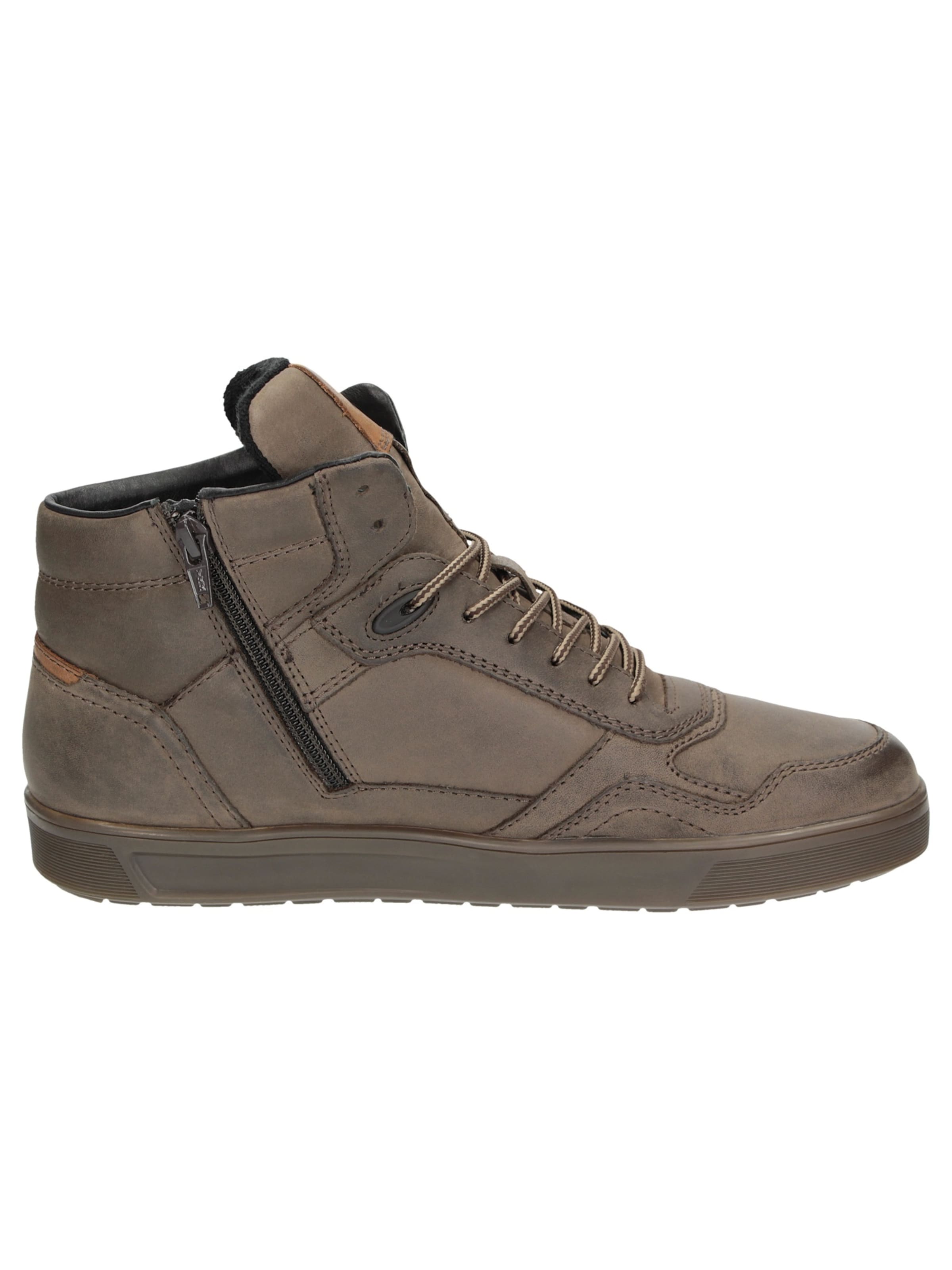 SIOUX Boots ' Tedroso-707-TEX ' in Bruin