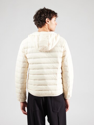 Giacca invernale di EA7 Emporio Armani in grigio