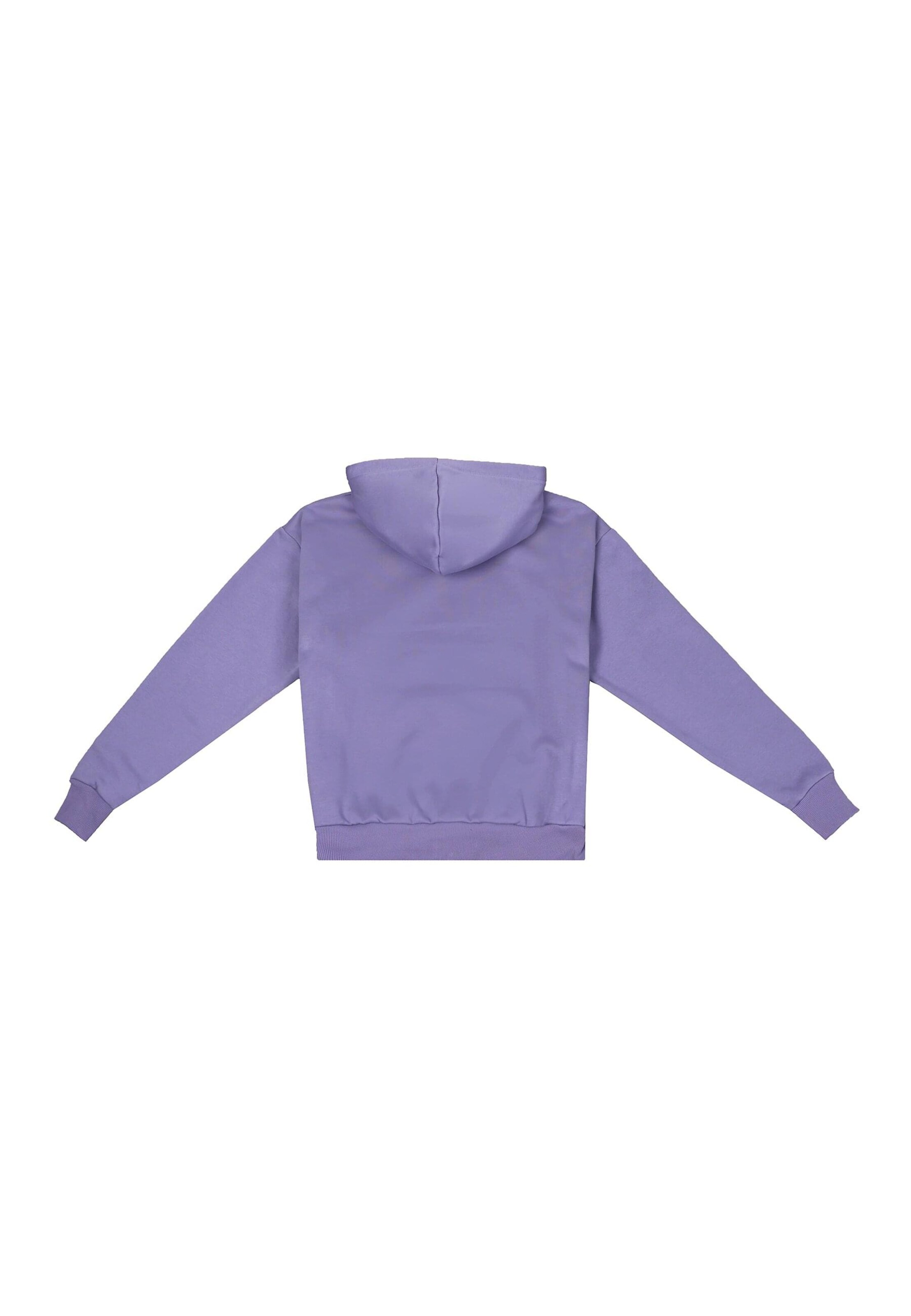 Dropsize Sweatshirt in Blauw