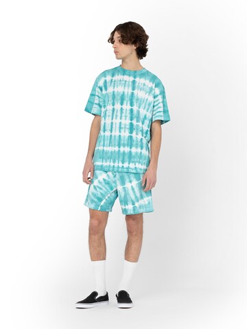 DICKIES Normální Kalhoty – modrá