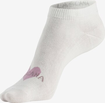 LASCANA Socks in White