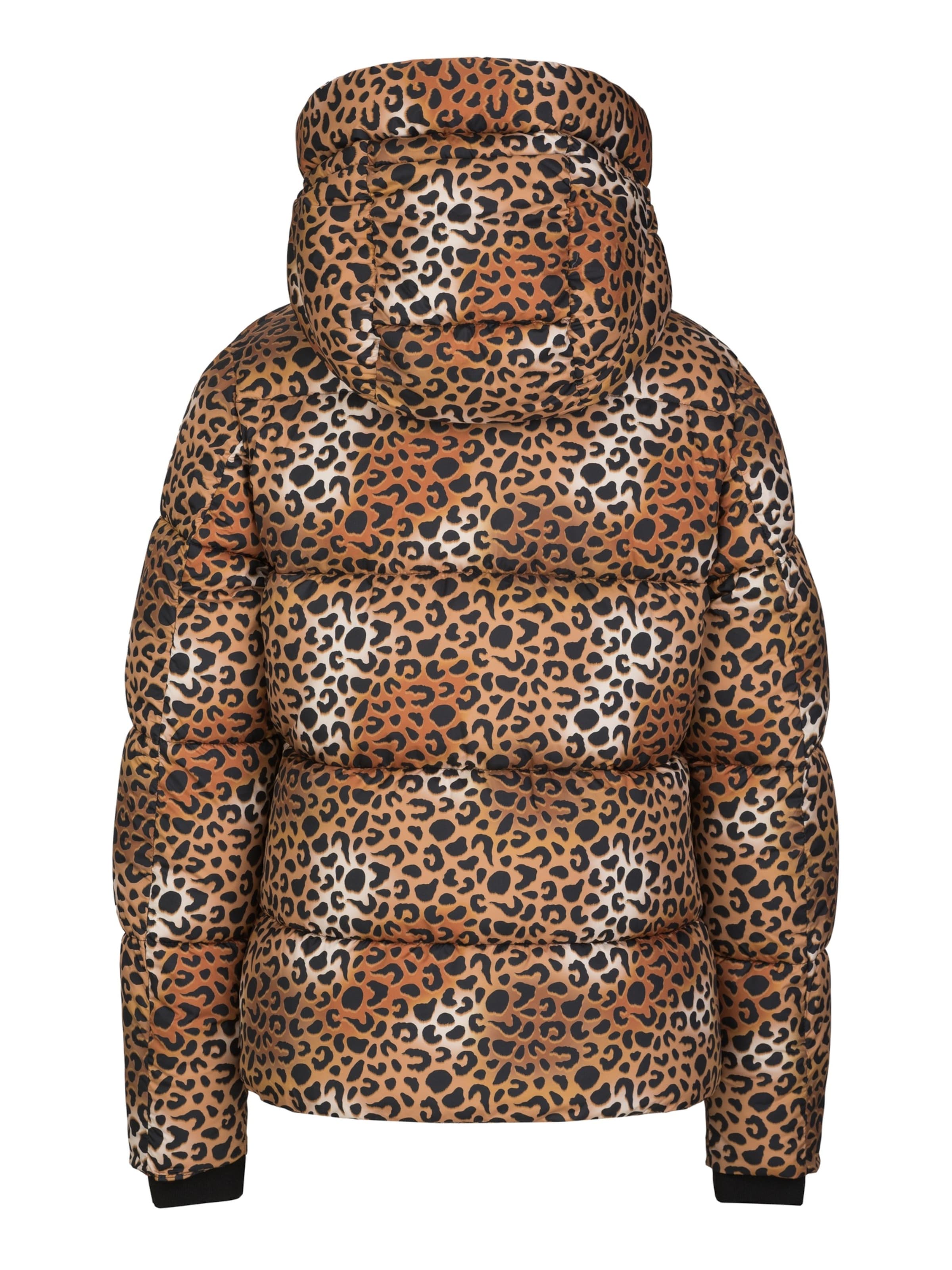 19V69 ITALIA Winter jacket 'Anzia Leo' in Brown