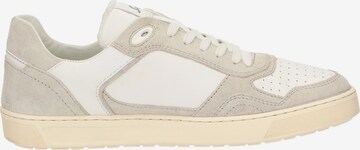 SIOUX Sneakers laag 'Tedroso-704' in Grijs