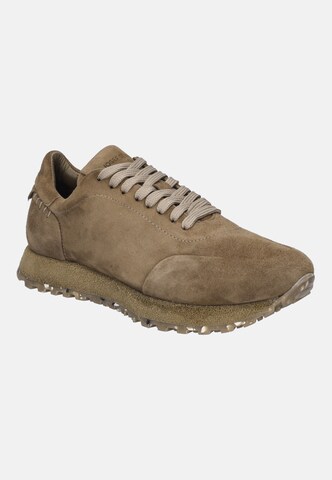 JOSEF SEIBEL Sneaker 'Adrian 01' in Beige