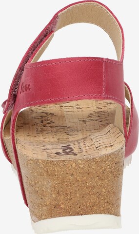 SIOUX Sandals in Pink
