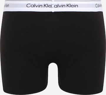 Calvin Klein Underwear Plus Шорты Боксеры в Черный