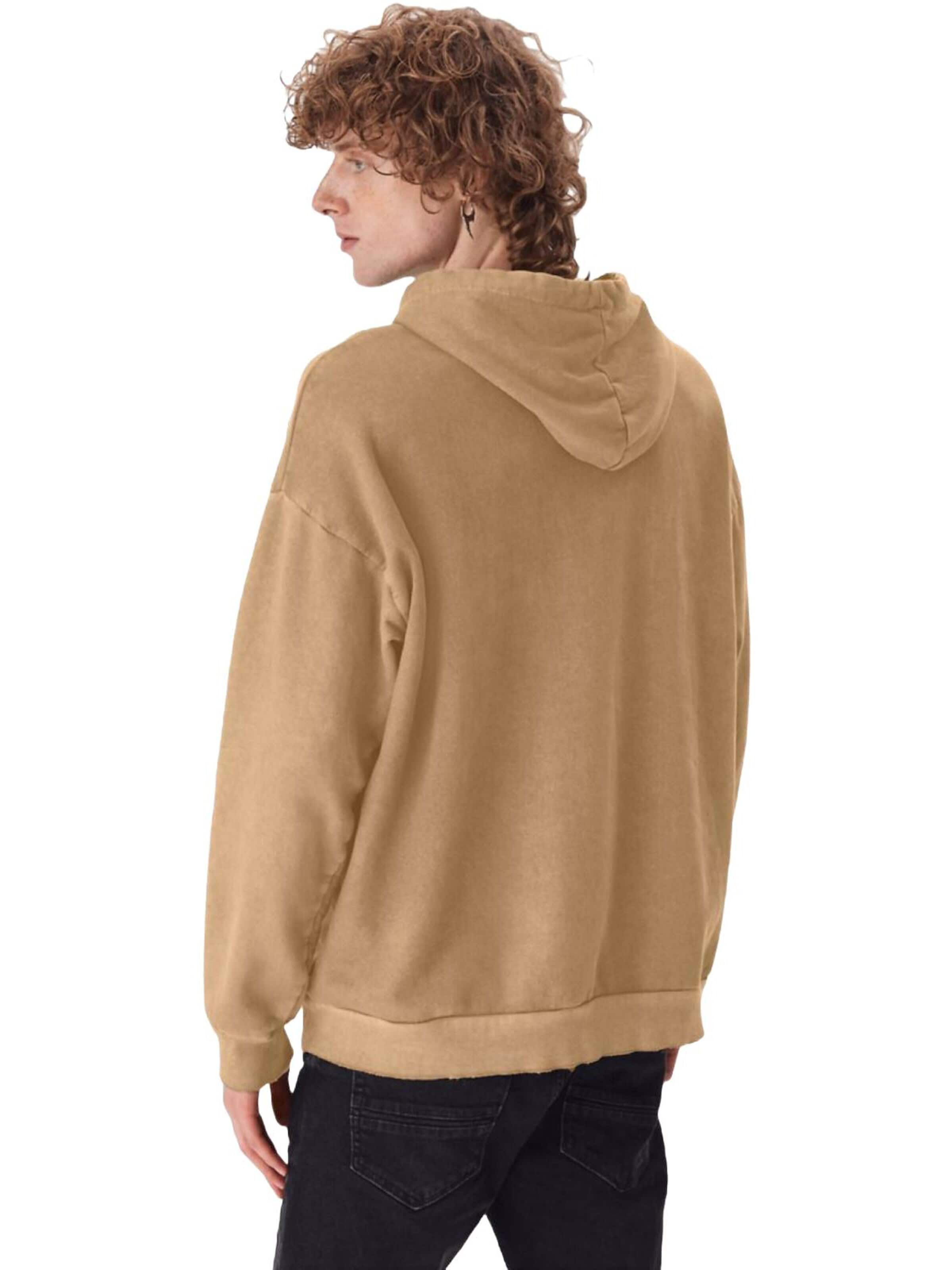 Felpa 'Printed Sweatshirt' di LTB Jeans in beige
