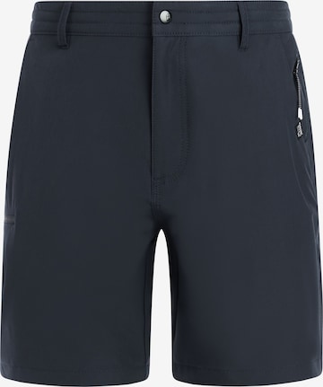 PROTEST Board Shorts 'PRTRadcot' in Blue: front