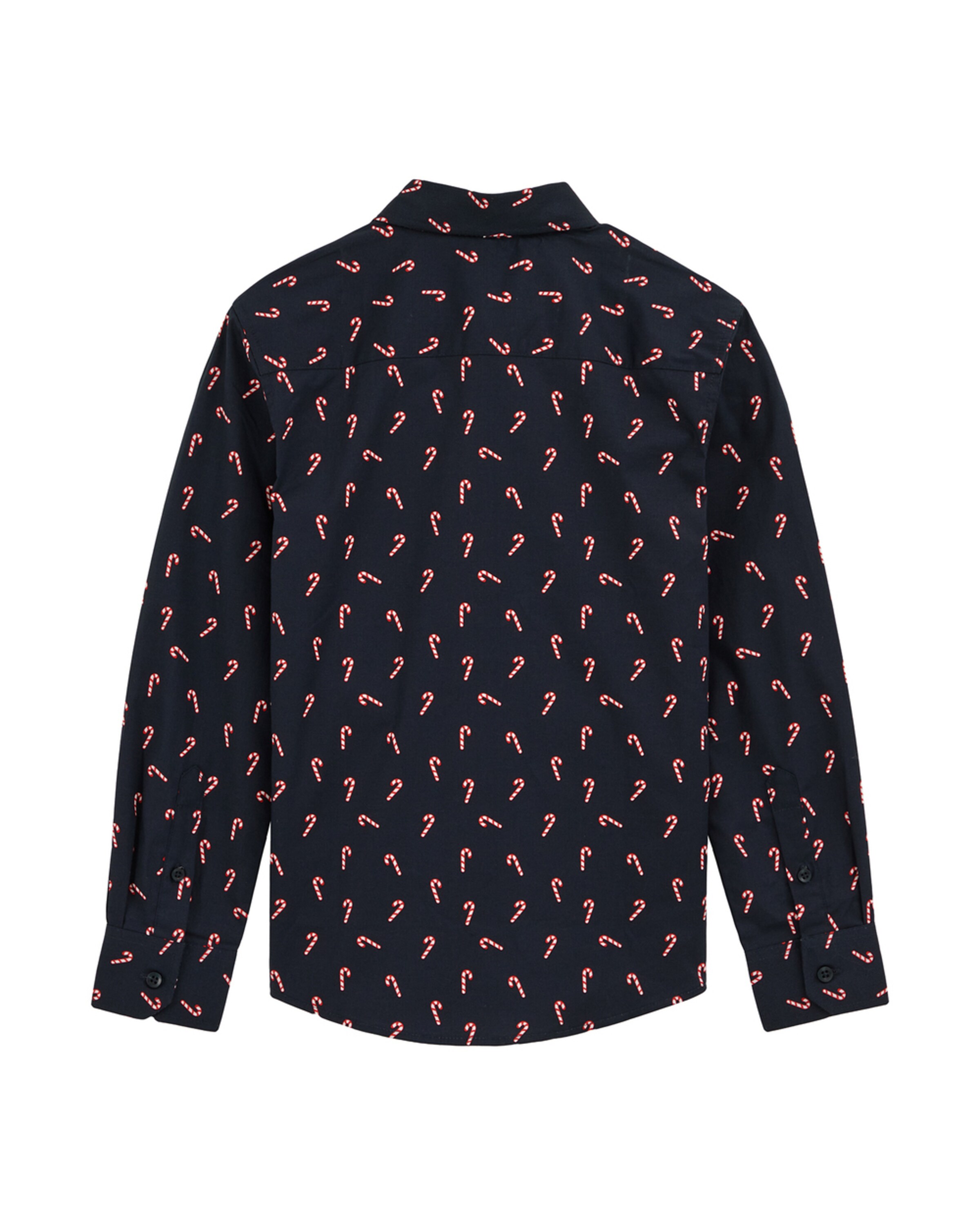 WE Fashion Regular fit Overhemd in Blauw