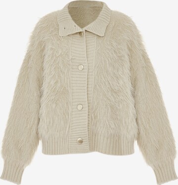 Poomi Knit Cardigan in Beige: front