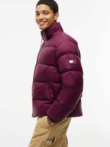 Tommy Jeans Winter Jacket 'Essential' in Purple
