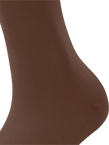 FALKE Kniestrümpfe 'Cotton Touch'‌‌‌‌ in Braun