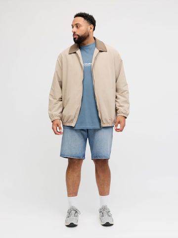 Loosefit Jeans 'JJITONY JJORIGINAL' di Jack & Jones Plus in blu