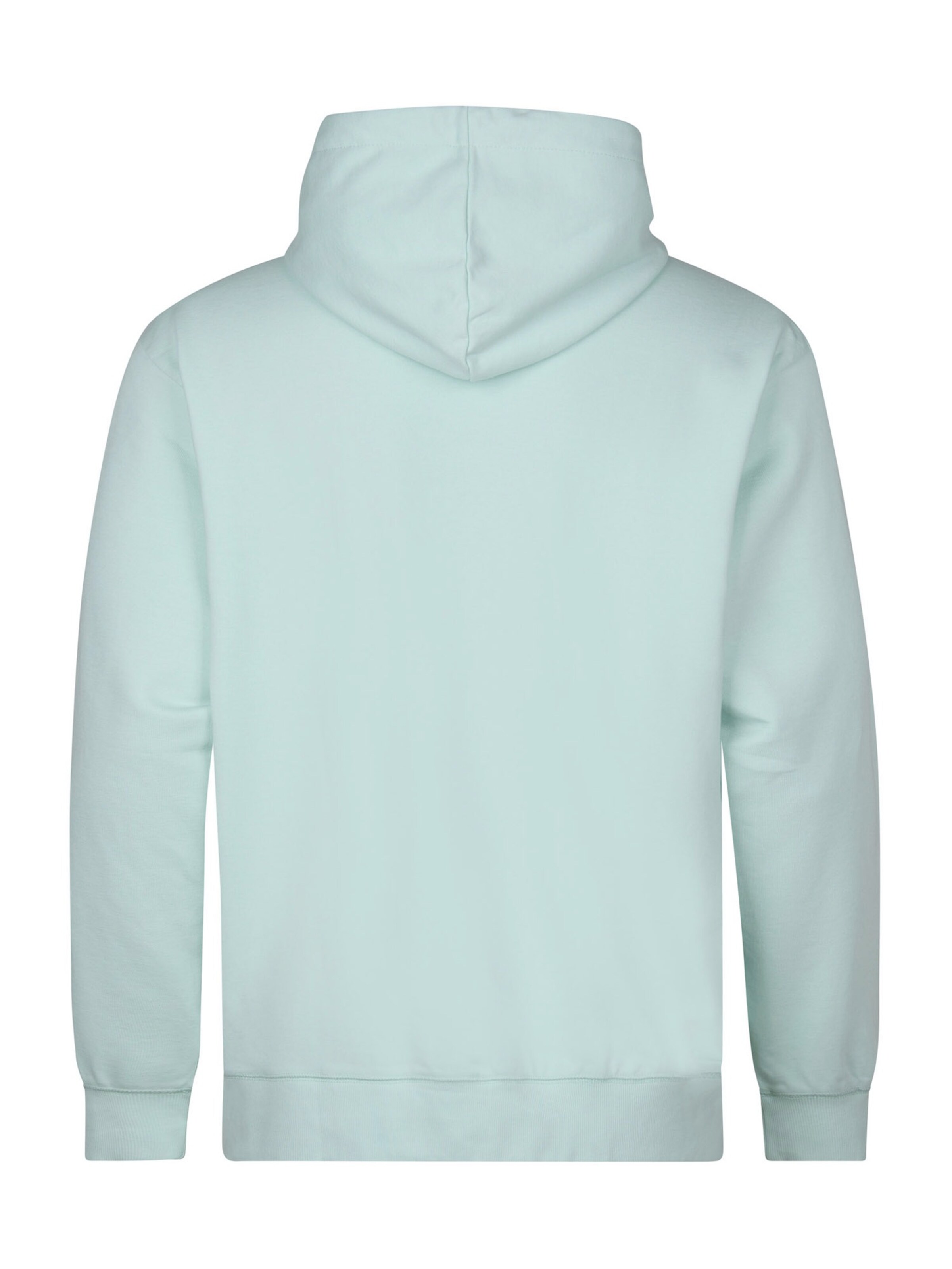 Petrol Industries Свитшот в Зеленый