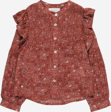 Scalpers Blouse in Brown: front