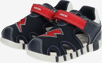 GEOX Offene Schuhe in Blau