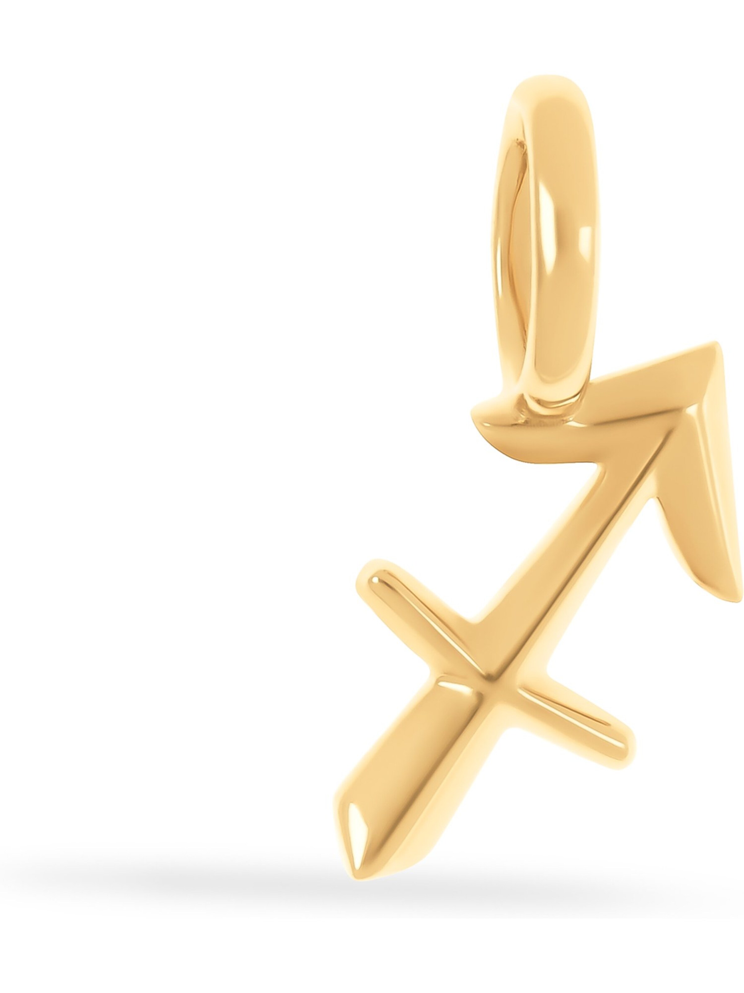 FAVS Anhänger in Gold: Vorderseite