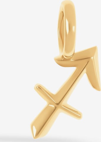 FAVS Anhänger in Gold: Vorderseite