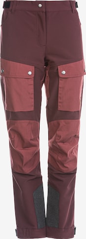 Whistler Outdoor Pants 'ANISSY' in Mixed colors: front