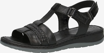 CAPRICE Sandals in Black: front