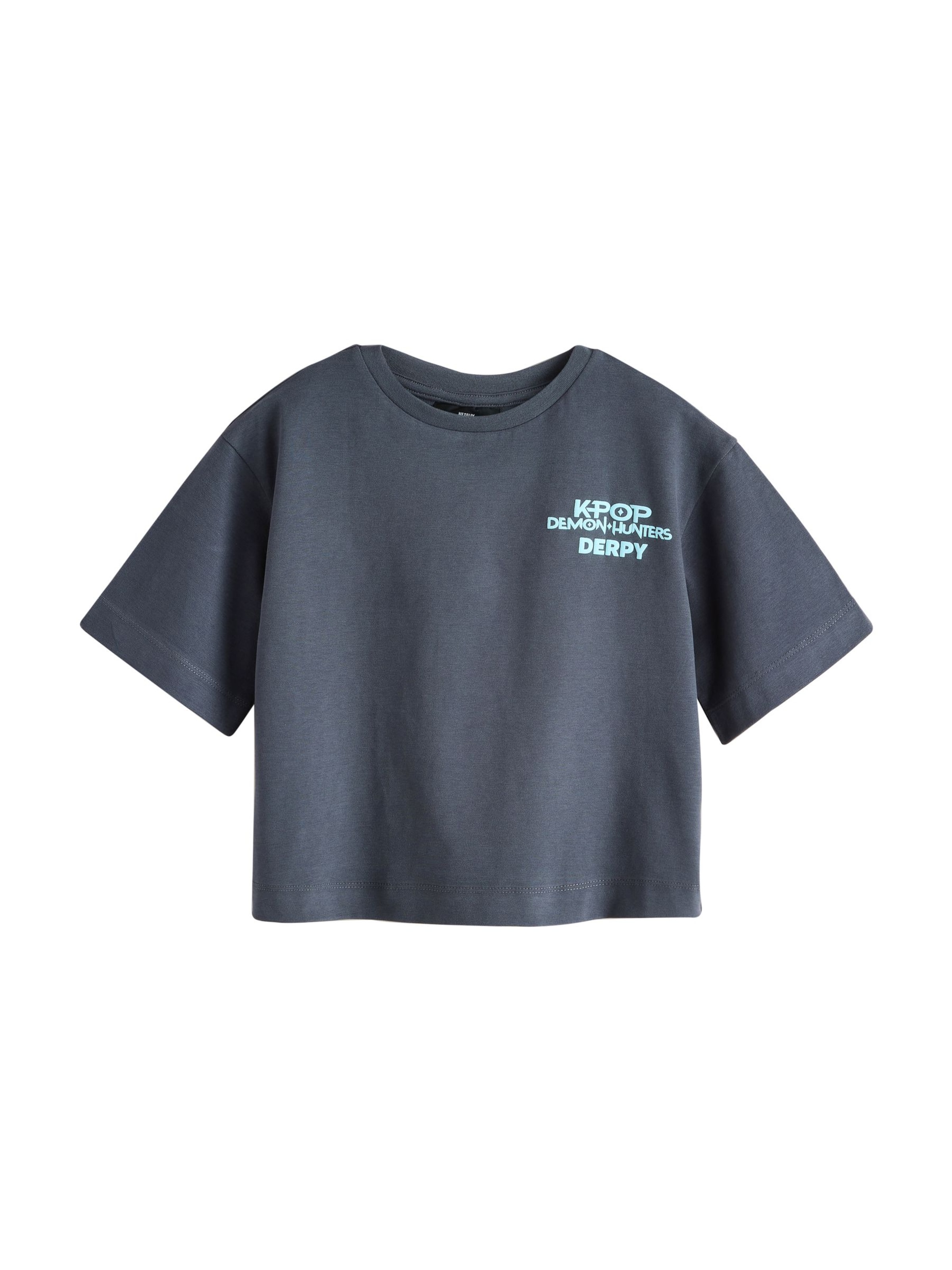 Next T-shirt 'Demon Hunters' i grå: framsida