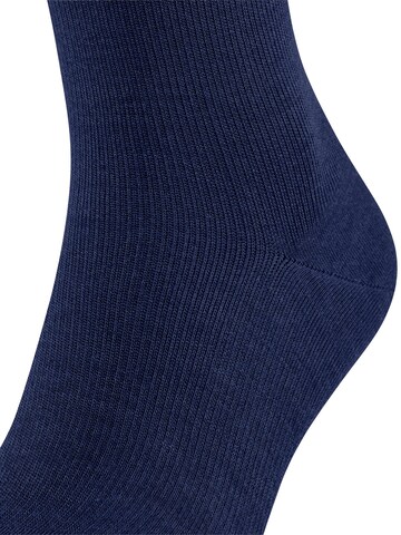 FALKE Knee High Socks 'Energizing Wool' in Blue