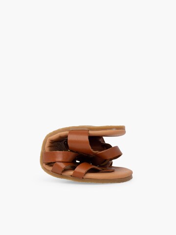 Sandales Pisamonas en marron