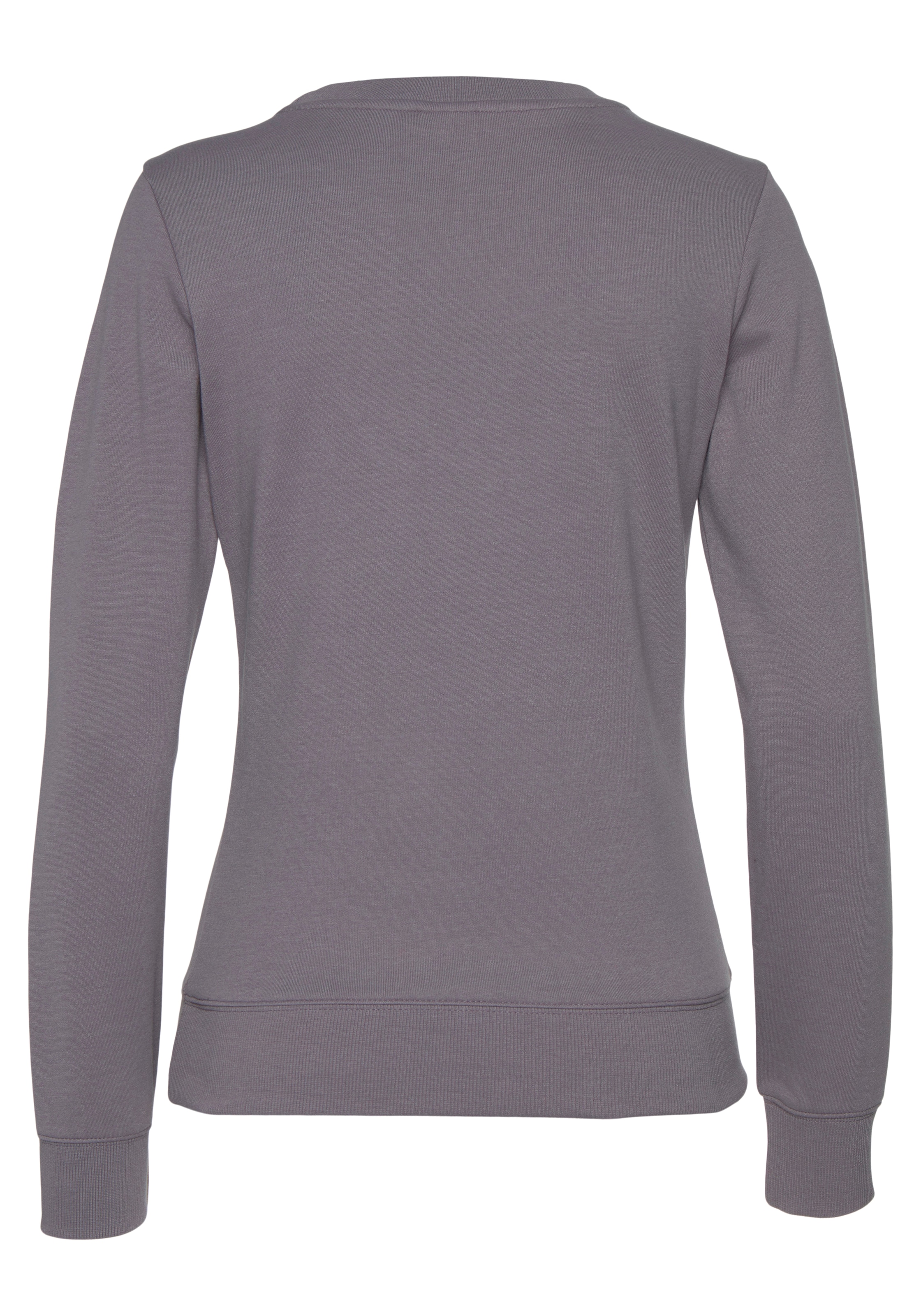 BENCH Sweatshirt in Grau