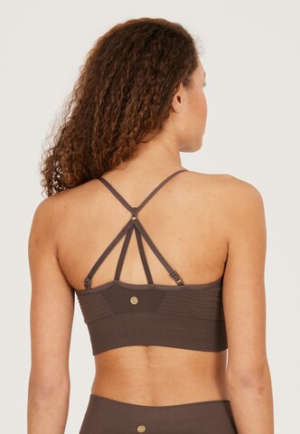 Athlecia Regular Sports Bra 'Foan' in Brown