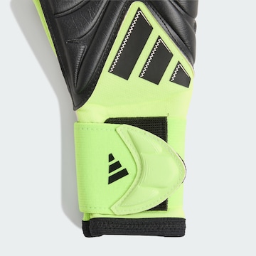 ADIDAS PERFORMANCE Sports gloves 'Copa Pro' in Green