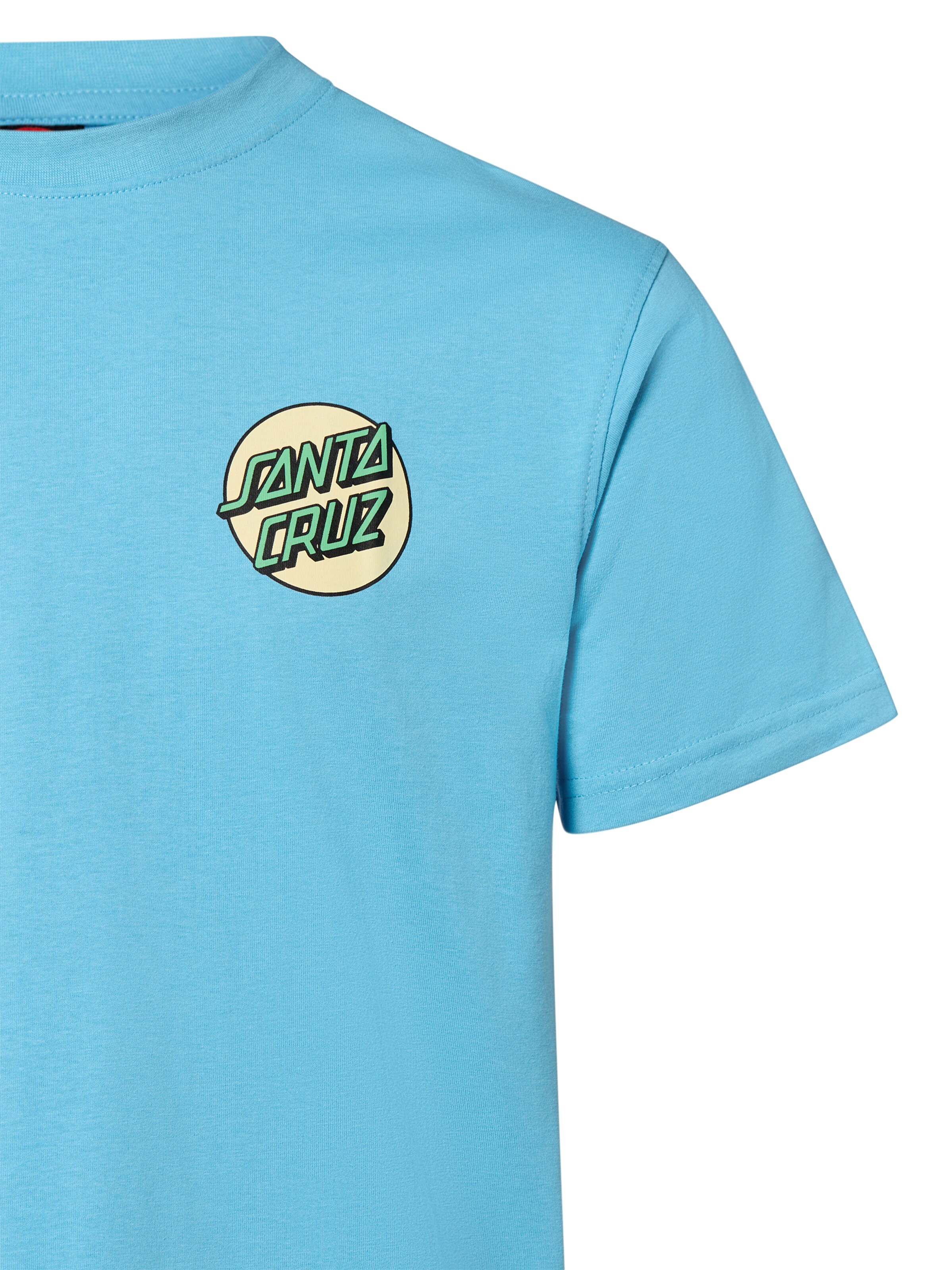 Santa Cruz Shirt 'Screaming Rose Flash' in Blauw