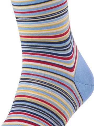 FALKE Kniestrümpfe 'Microblock'‌‌‌‌‌‌‌‌‌‌ in Blau