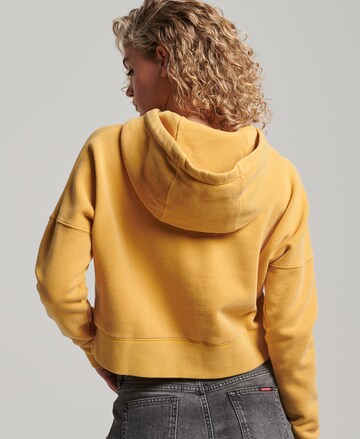 Superdry Sweatshirt in Yellow