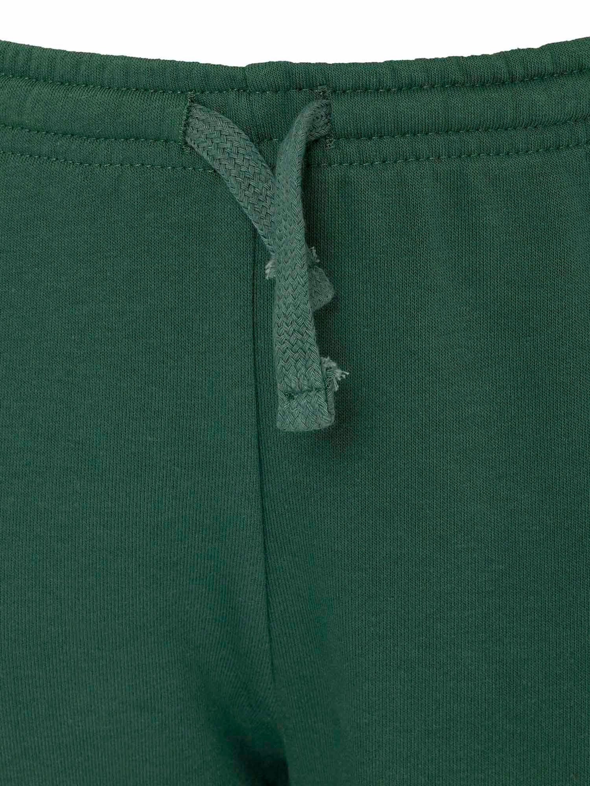 Williot Tapered Trousers in Green