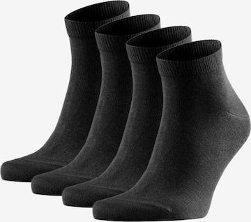 FALKE Socks in Black: front