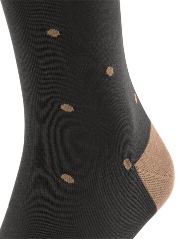 FALKE Knee High Socks 'Dot' in Brown