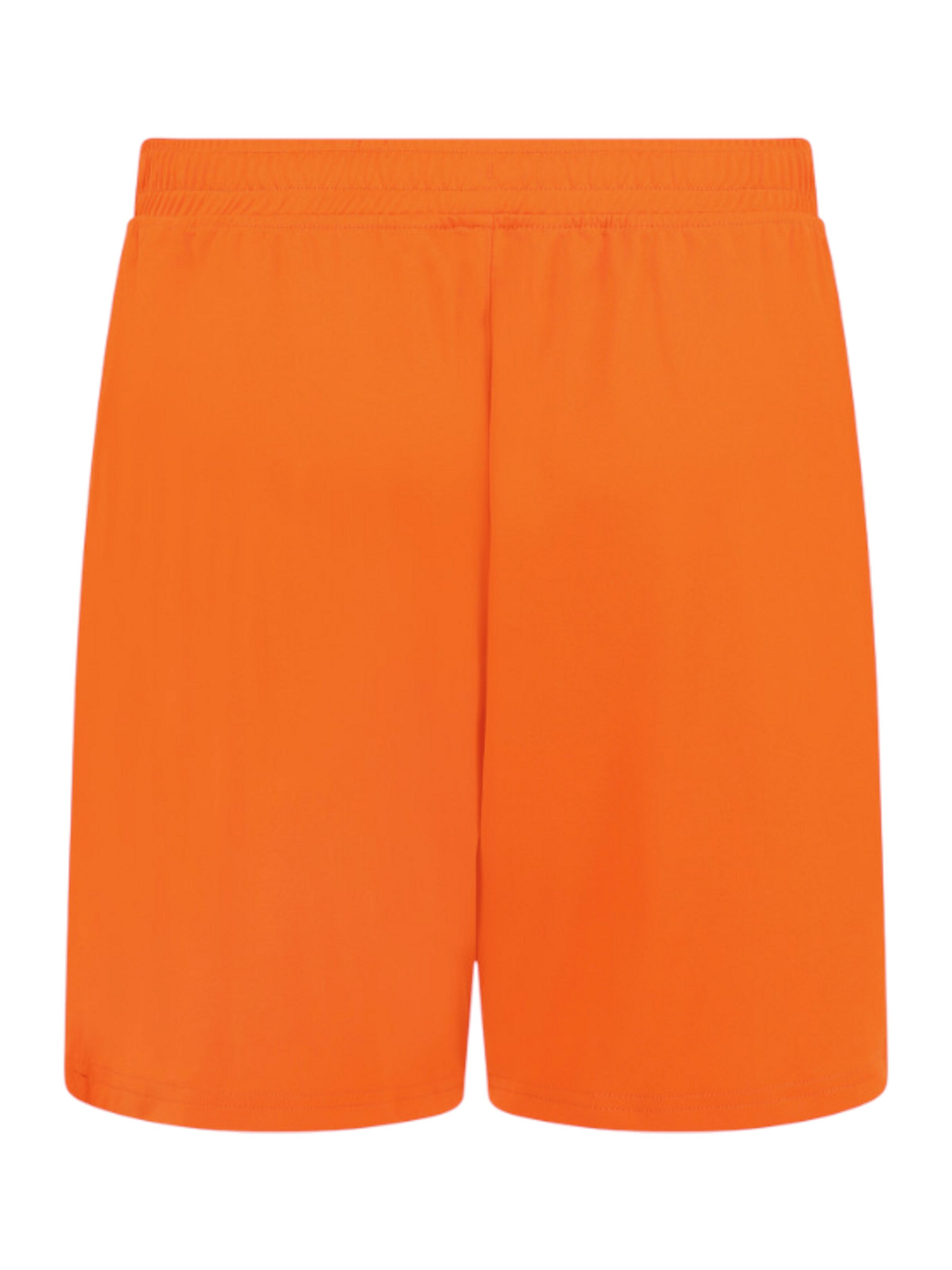 Castor Regular Pants in Orange