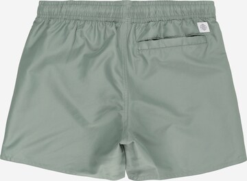ADIDAS PERFORMANCE Regularen Kratke kopalne hlače 'Classic Badge Of' | zelena barva