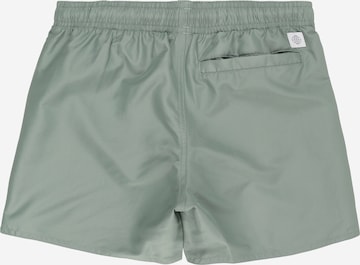 ADIDAS PERFORMANCE Regular Athletic Swimwear 'Classic Badge Of' in Green