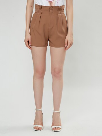 Influencer Loose fit Pleat-Front Pants in Brown: front