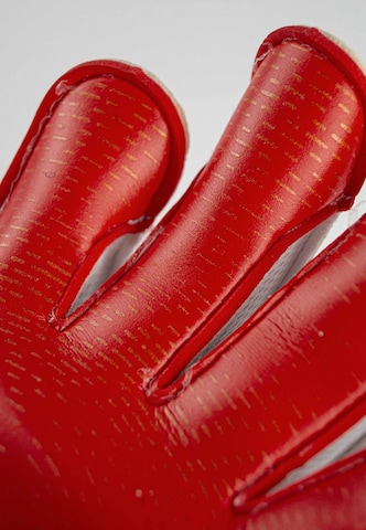 REUSCH Sporthandschoenen 'Attrakt Gold X GluePrint' in Rood